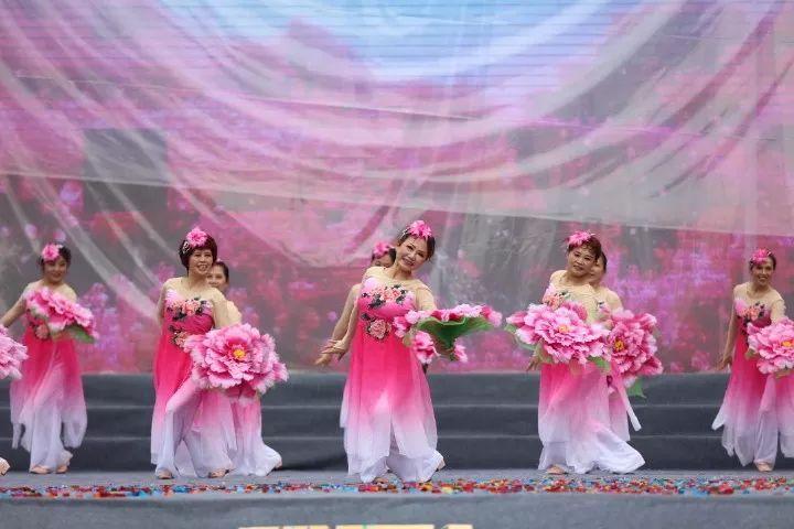 救援小肥兔