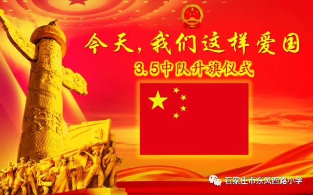 救援白色小猫