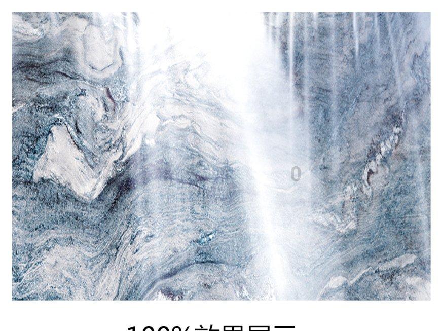 金刚鹦鹉逃生