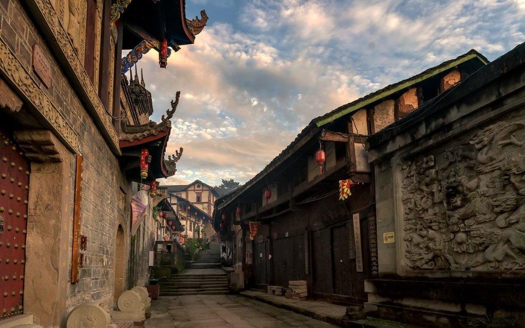 动物帮帮忙保卫家园