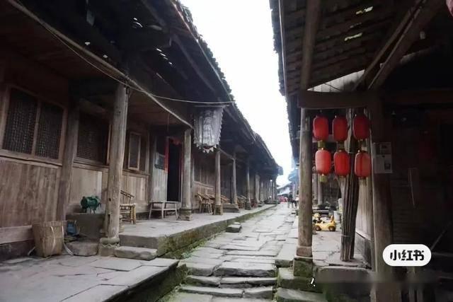 “衡有味·衡阳2024年货节暨消费促进年活动”启幕